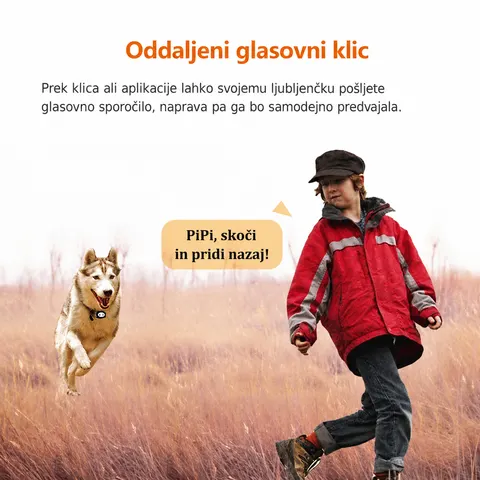 GPS sledilnik za pse in mačke – IP68, GPS/WiFi/LBS