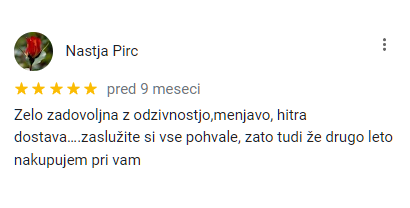 Google mnenje